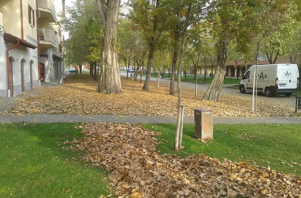 Őszi teendők a kertben 