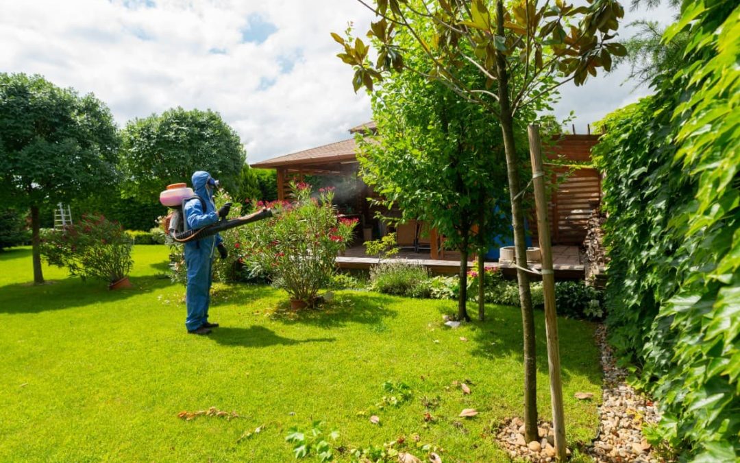Kertgondozás – Mit jelent valójában, és miért nem csak fűnyírásból áll?